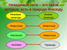 Привести примеры связей в природе, между природой и человеком (Окружающий мир, Плешаков)